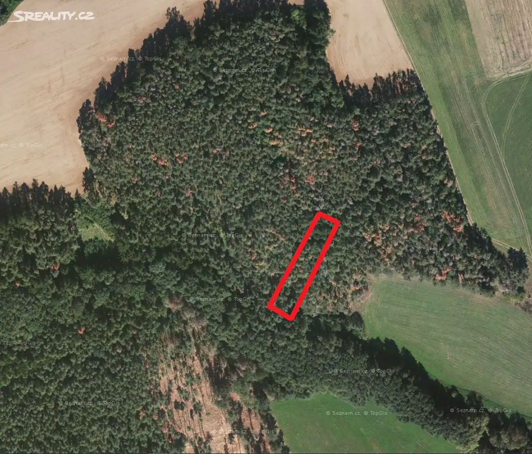 Prodej  lesa 1 691 m², Nalžovské Hory - Miřenice, okres Klatovy