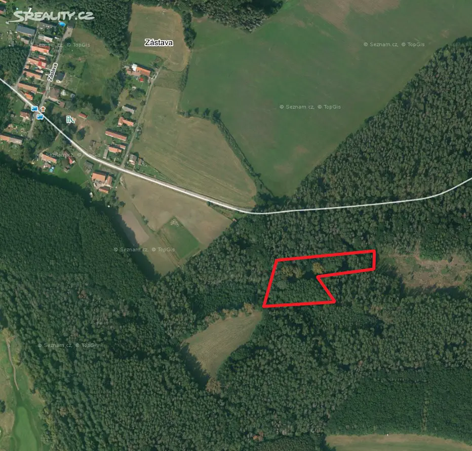 Prodej  lesa 2 521 m², Rokytno - Bohumileč, okres Pardubice