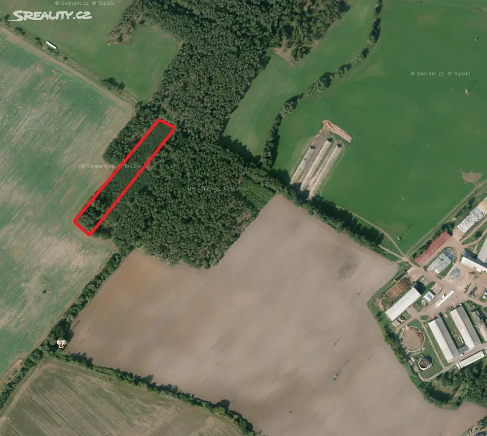Prodej  lesa 3 988 m², Živanice - Nerad, okres Pardubice