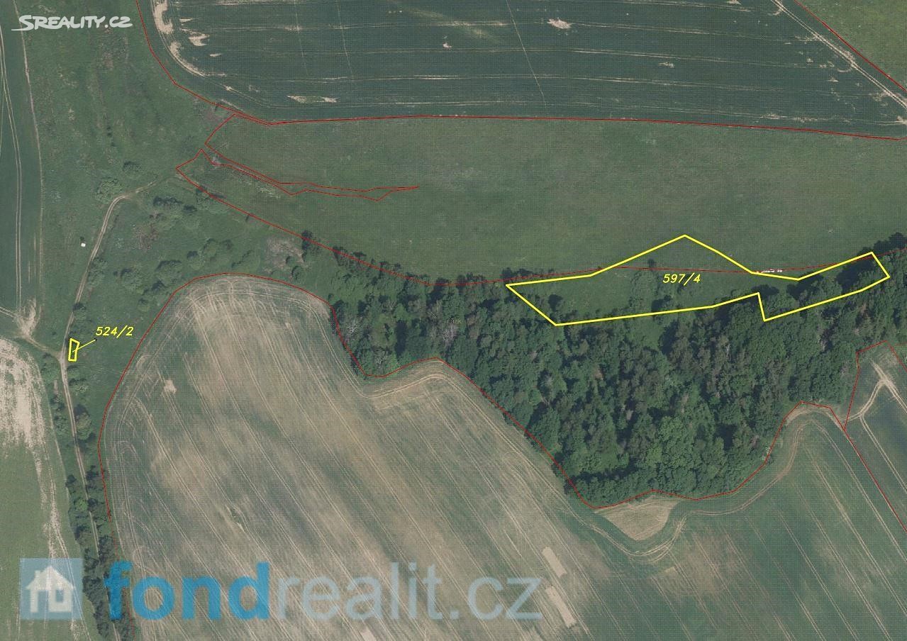 Prodej  pozemku 6 799 m², Stráž pod Ralskem, okres Česká Lípa