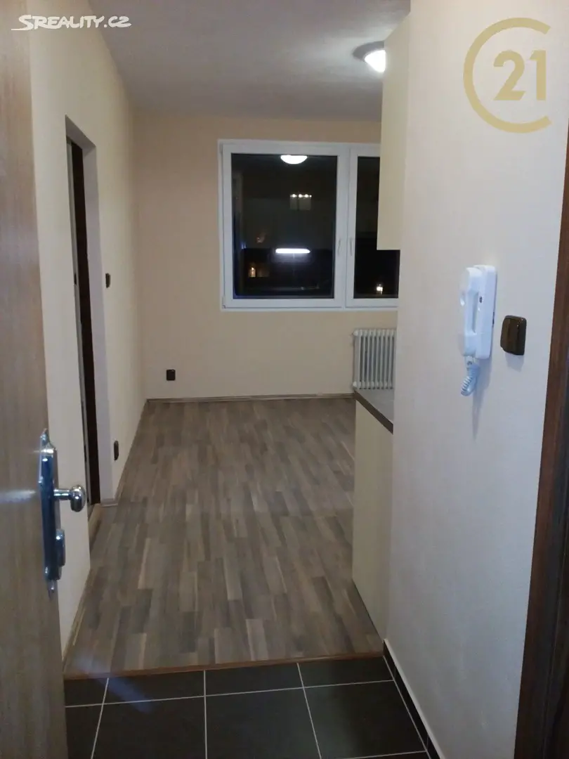 Pronájem bytu 1+1 37 m², Na Dlouhých, Plzeň - Doubravka