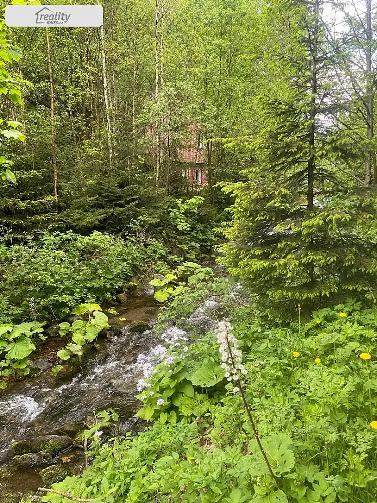 Deštné v Orlických horách, okres Rychnov nad Kněžnou