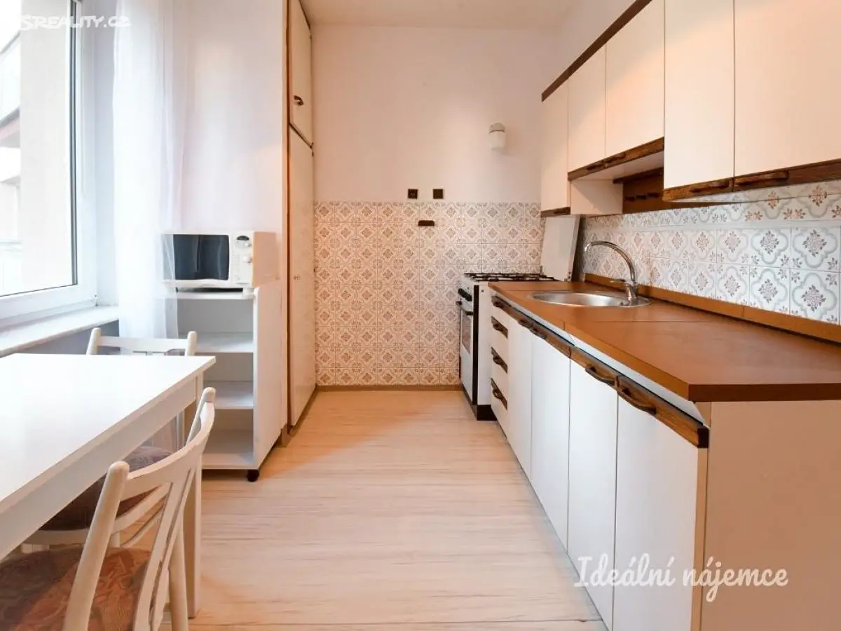 Pronájem bytu 2+1 55 m², Renneská třída, Brno - Štýřice