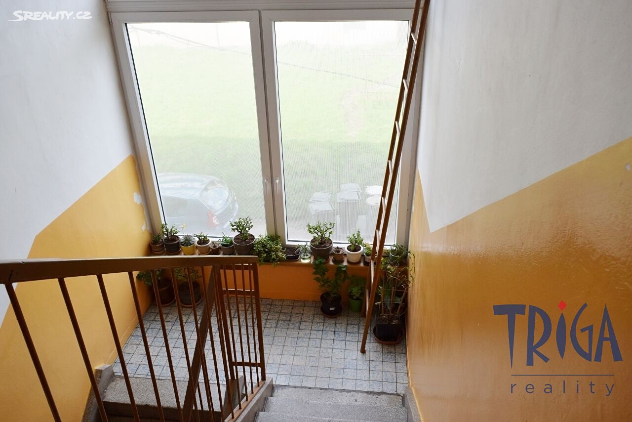 Prodej bytu 3+1 70 m², Vítězná - Huntířov, okres Trutnov