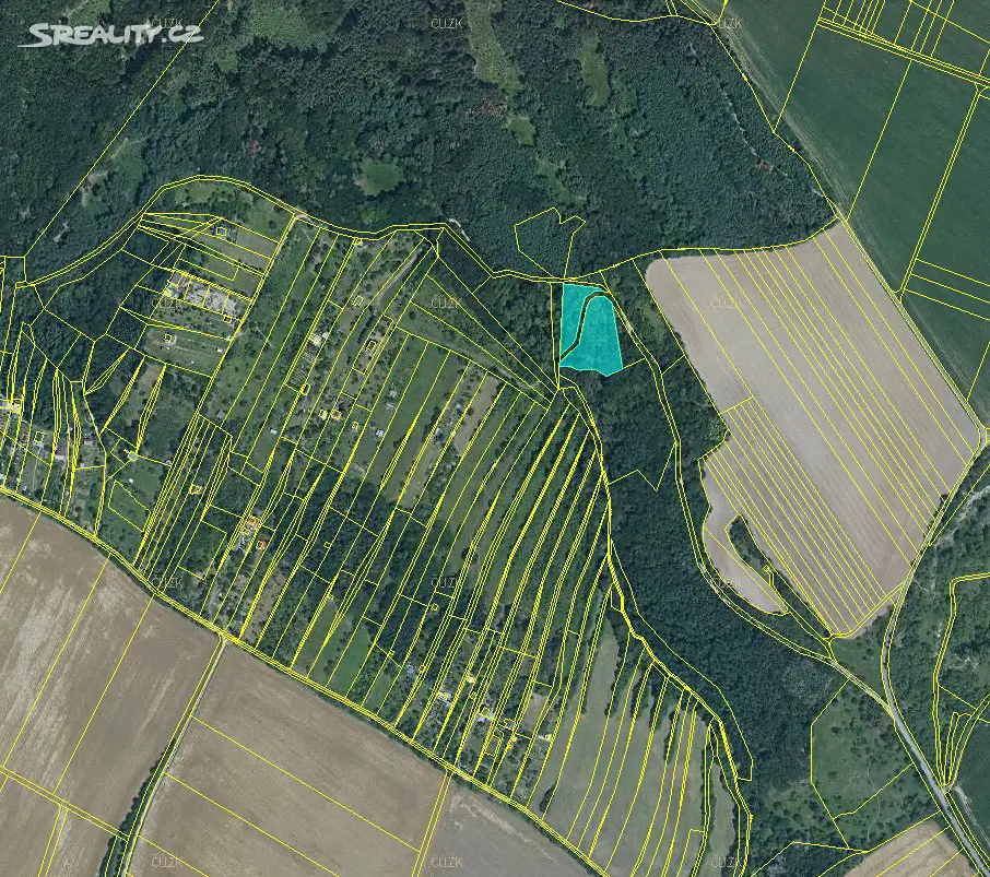 Prodej  lesa 3 858 m², Čelechovice na Hané, okres Prostějov