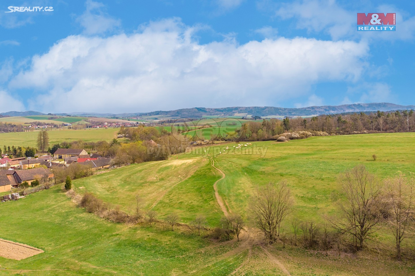 Prodej  louky 8 041 m², Blížejov, okres Domažlice