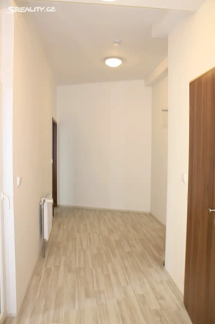 Pronájem bytu 1+1 53 m², Vlhká, Brno - Zábrdovice