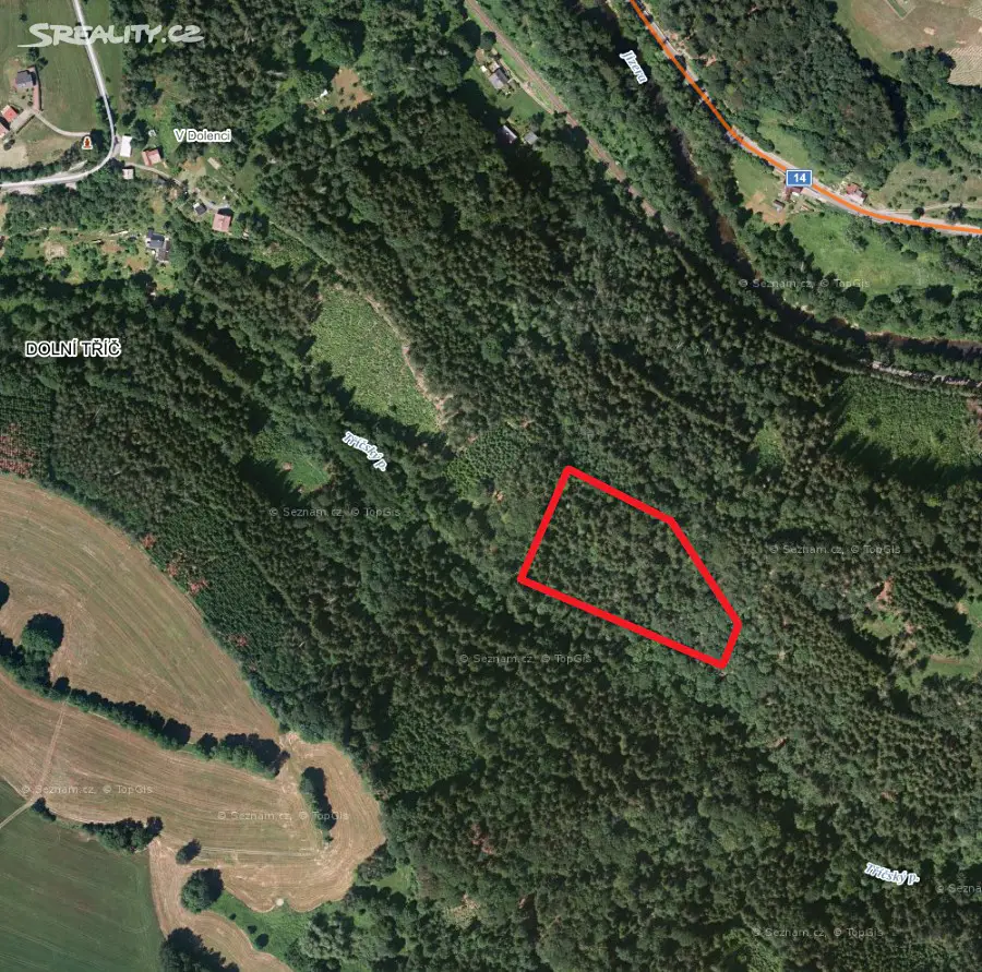 Prodej  lesa 1 622 m², Jablonec nad Jizerou, okres Semily