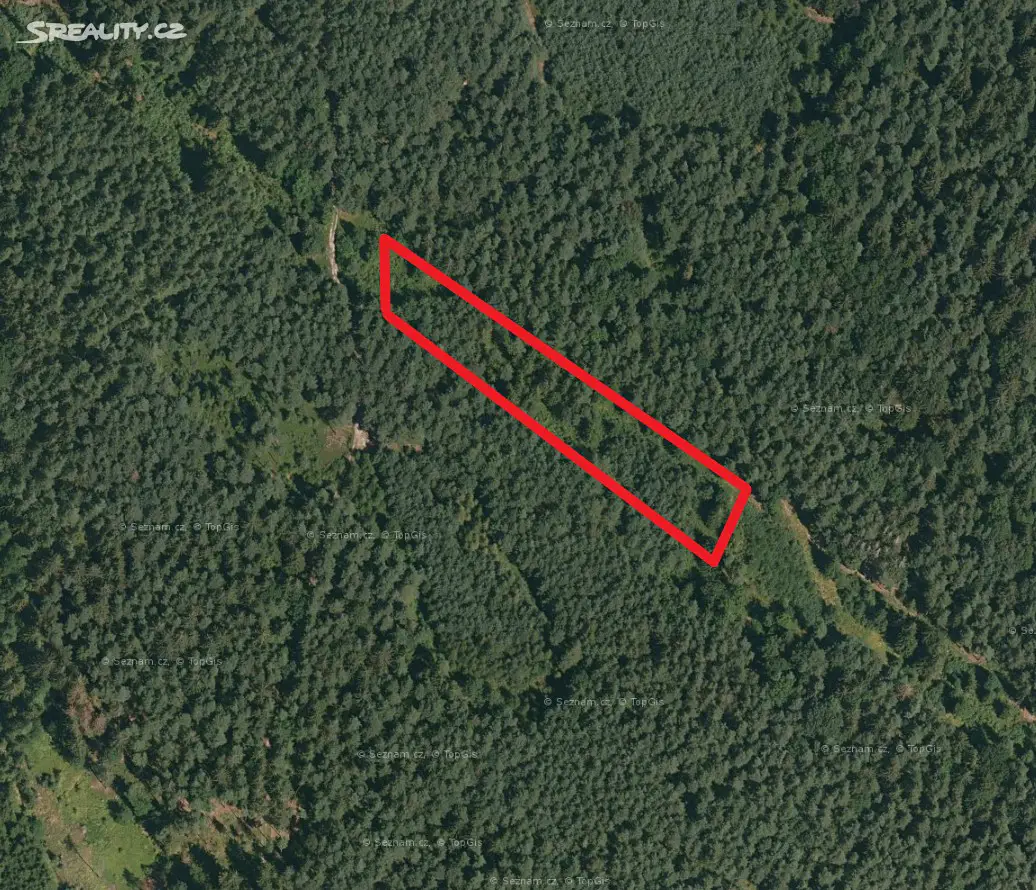 Prodej  lesa 3 326 m², Ledenice - Zborov, okres České Budějovice