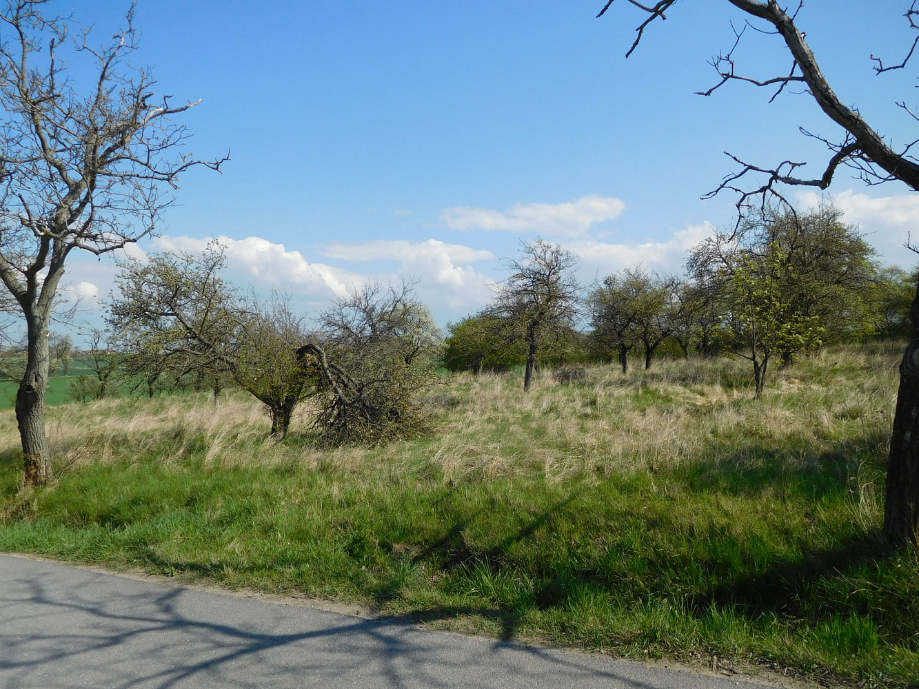 Hradčany, okres Nymburk