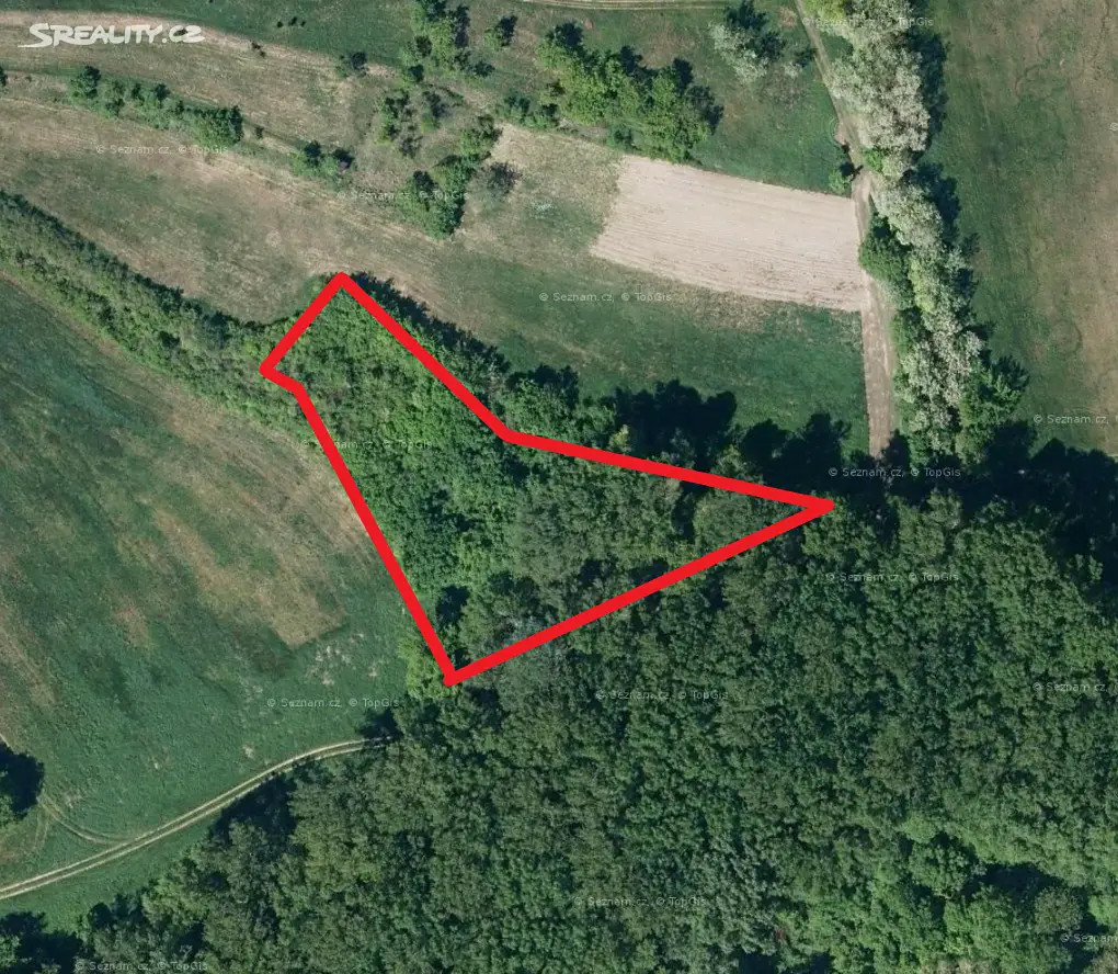 Prodej  lesa 3 414 m², Křepice, okres Břeclav
