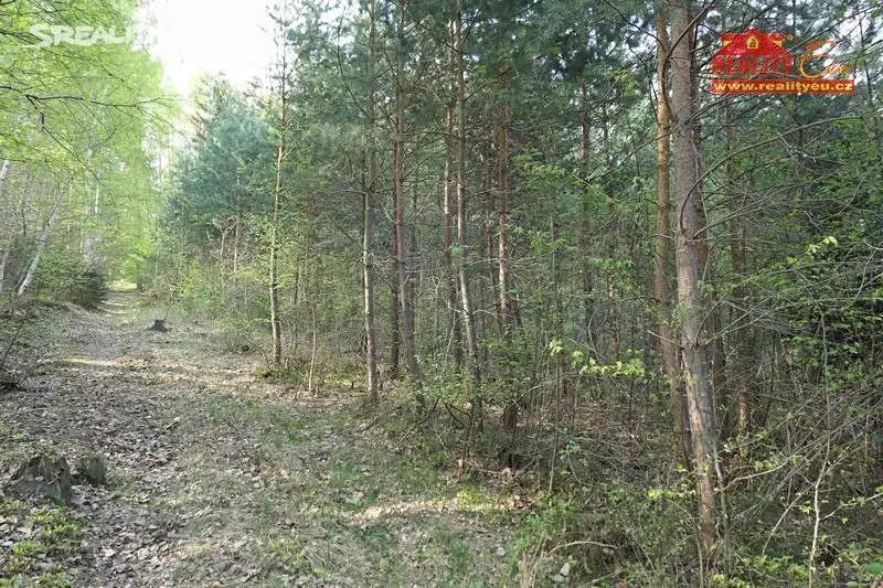 Prodej  lesa 15 079 m², Vrbatův Kostelec, okres Chrudim