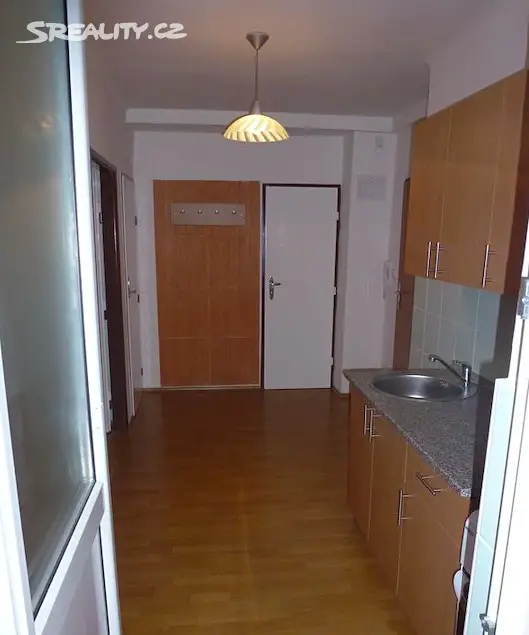 Pronájem bytu 1+kk 57 m², Praha 4 - Michle