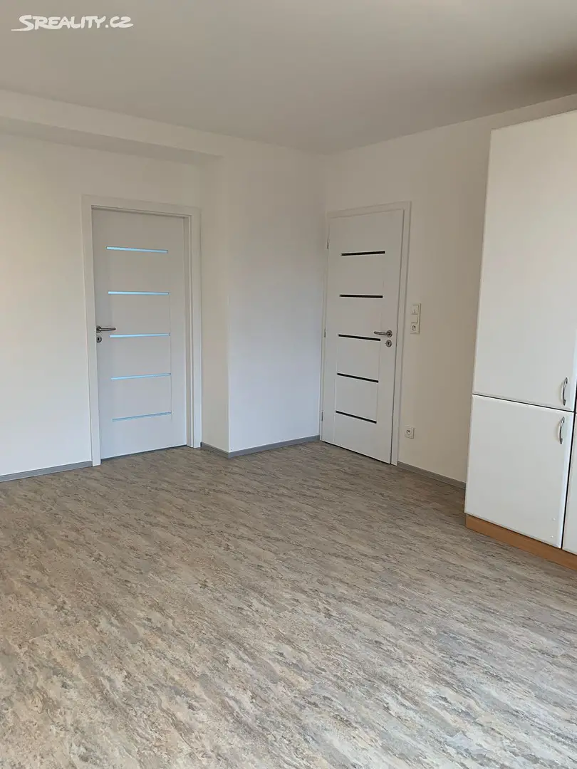 Pronájem bytu 2+kk 54 m², Neumannova, Plzeň - Východní Předměstí