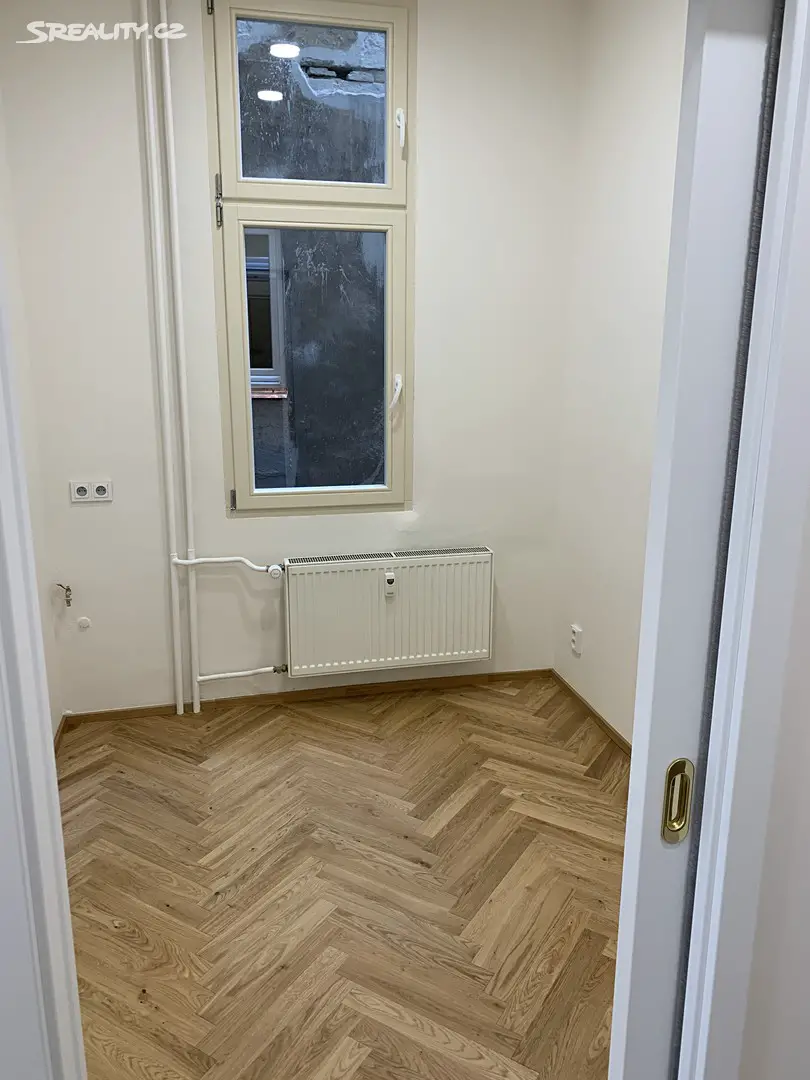Pronájem bytu 3+kk 77 m², Opletalova, Praha 1 - Nové Město
