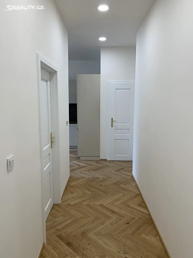 Pronájem bytu 3+kk 77 m², Opletalova, Praha 1 - Nové Město