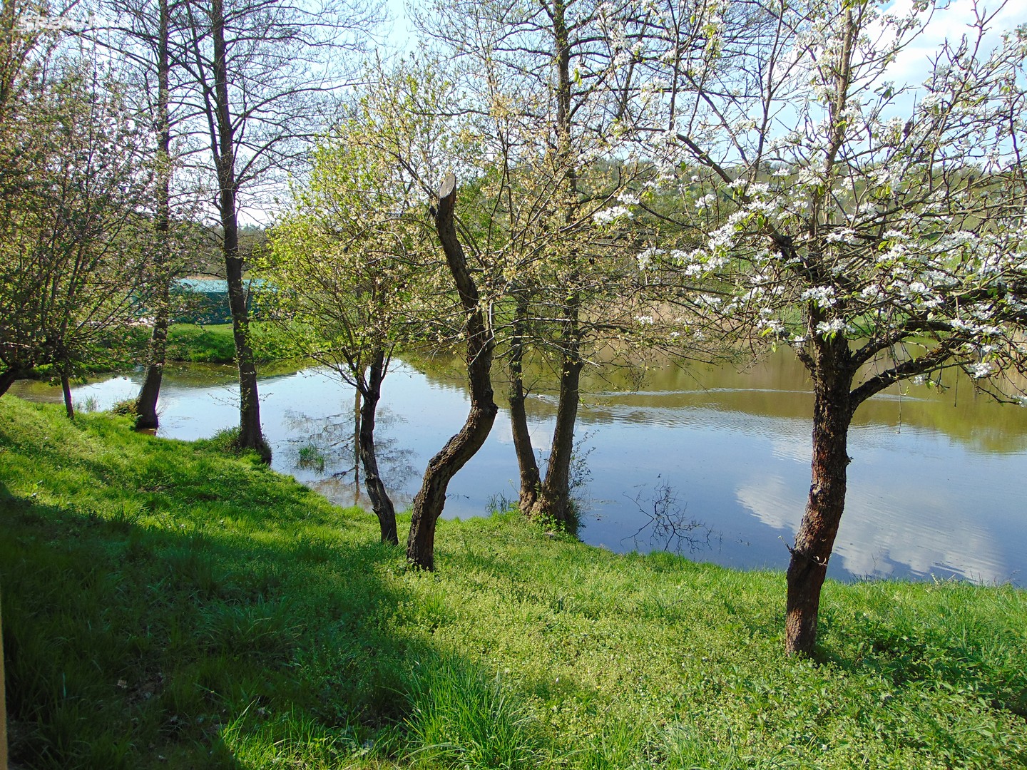 Pronájem  rybníku (vodní plochy) 3 200 m², Trojanův mlýn, Praha - Suchdol