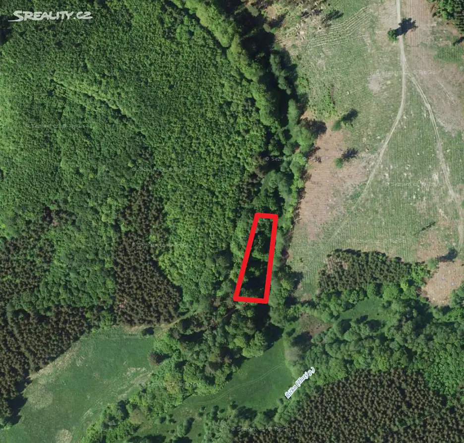 Prodej  lesa 1 400 m², Hostěnice, okres Brno-venkov