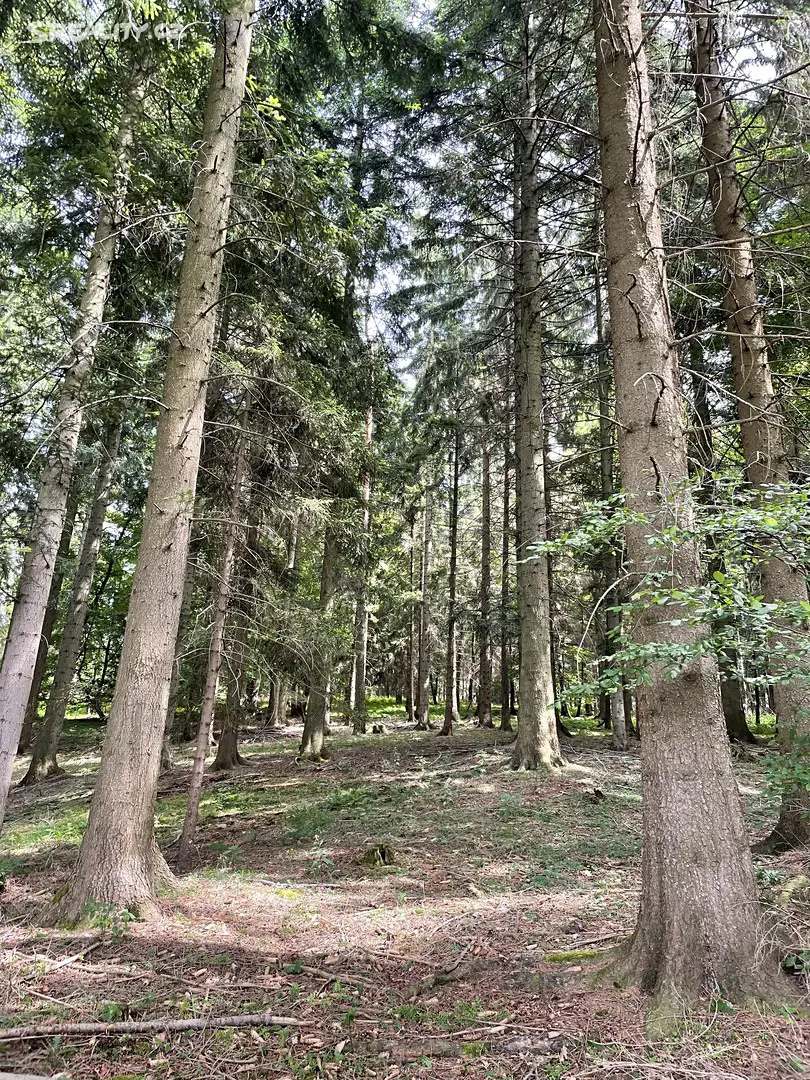 Prodej  lesa 858 653 m², Valašská Polanka, okres Vsetín