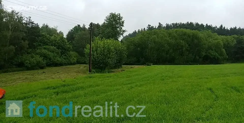 Prodej  pozemku 3 597 m², Borovany, okres České Budějovice