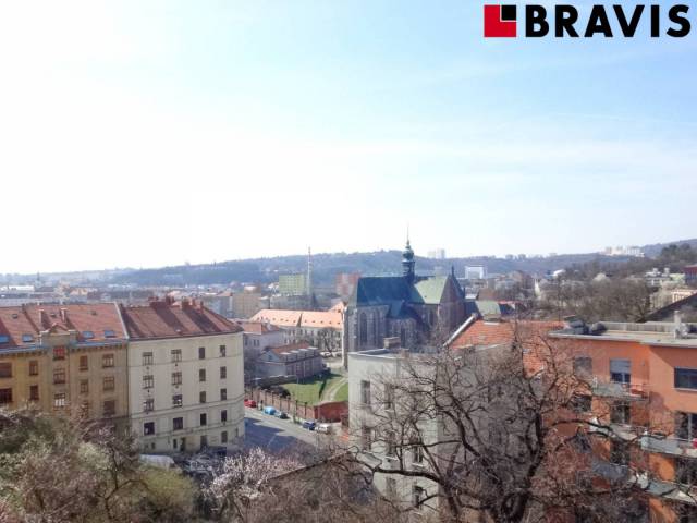 Pellicova, Staré Brno, Brno, Brno-město