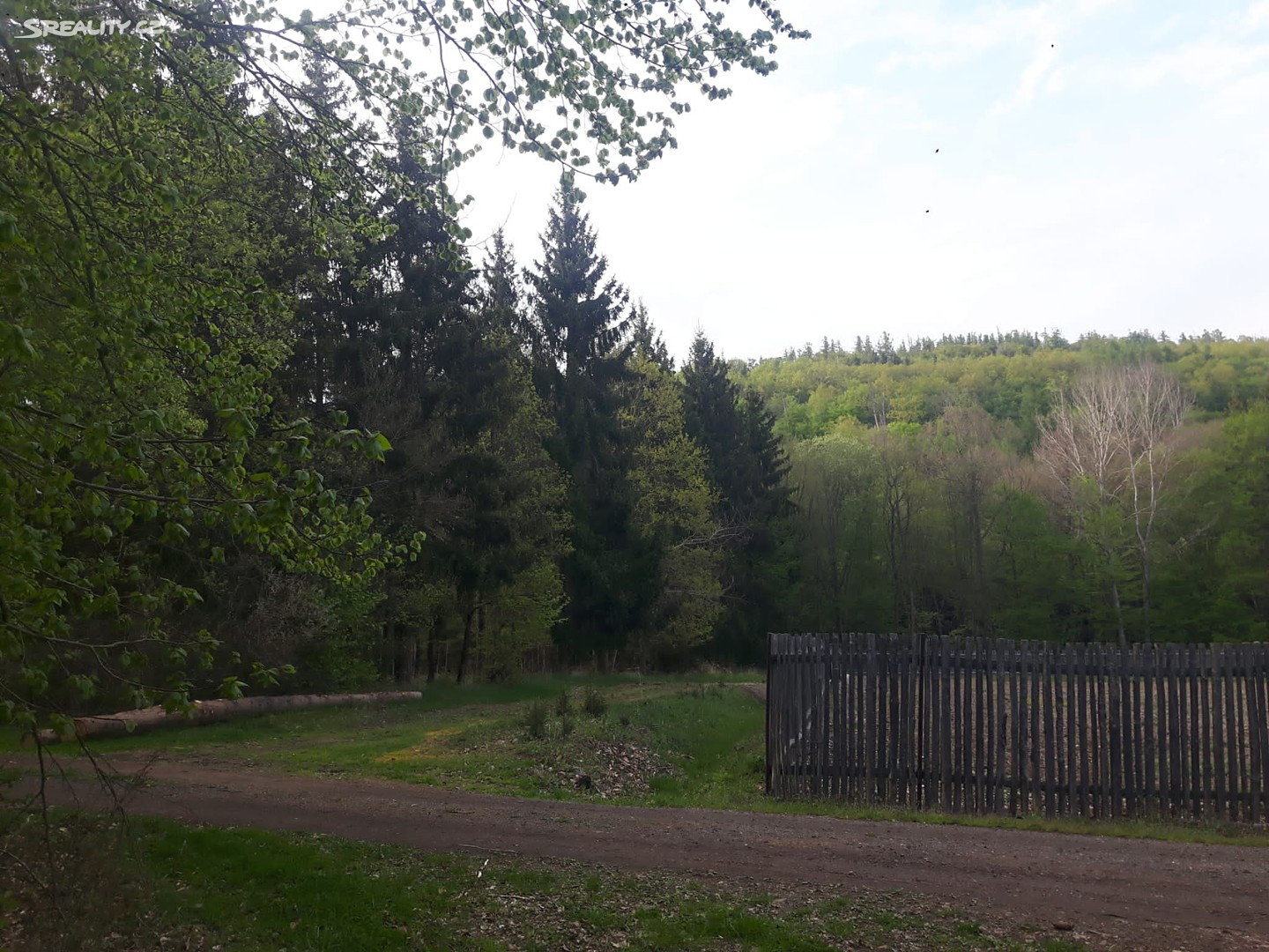 Prodej  lesa 35 262 m², Hředle, okres Beroun