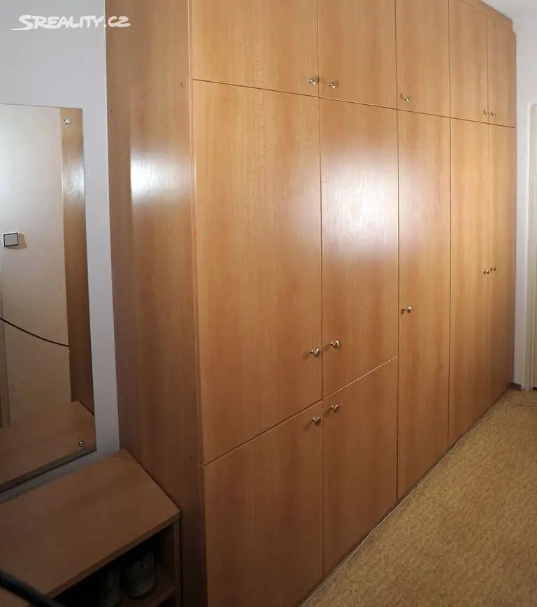 Pronájem bytu 2+kk 50 m², Neužilova, Brno - Bohunice