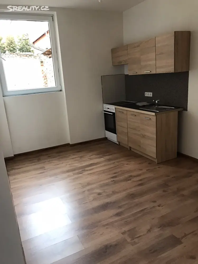 Pronájem bytu 1+1 40 m², Duchcov, okres Teplice