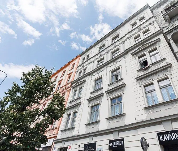 Pronájem bytu 1+1 55 m², Americká, Praha 2 - Vinohrady