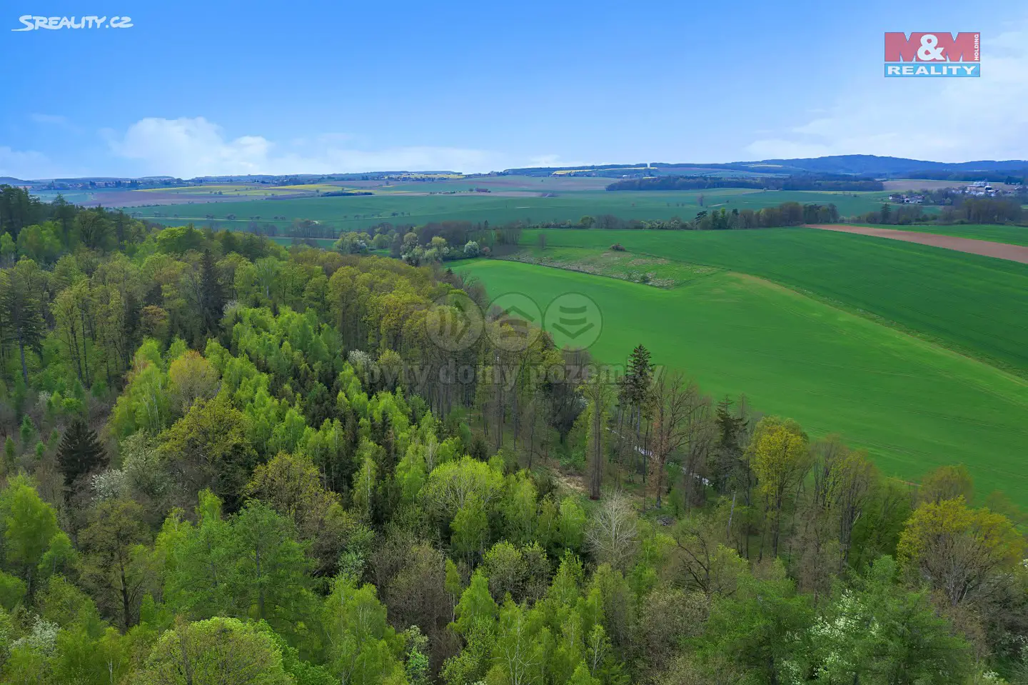 Prodej  lesa 31 440 m², Račice nad Trotinou, okres Hradec Králové