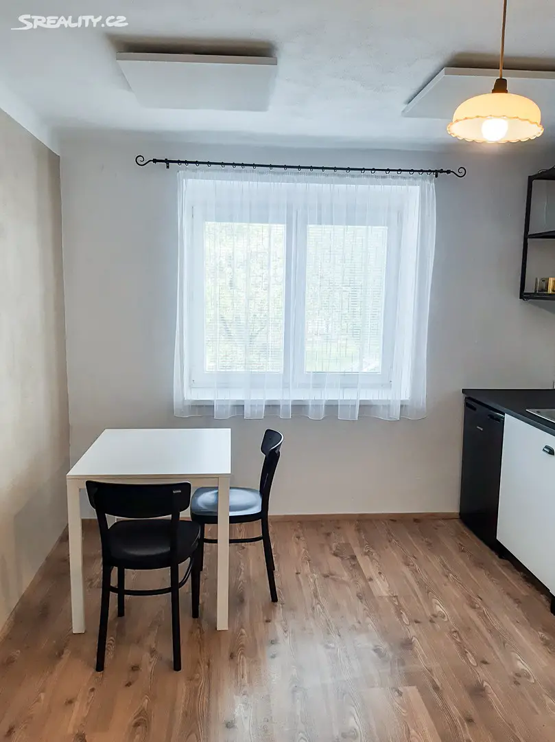 Prodej bytu 1+1 45 m², Klášterní, Plzeň - Východní Předměstí