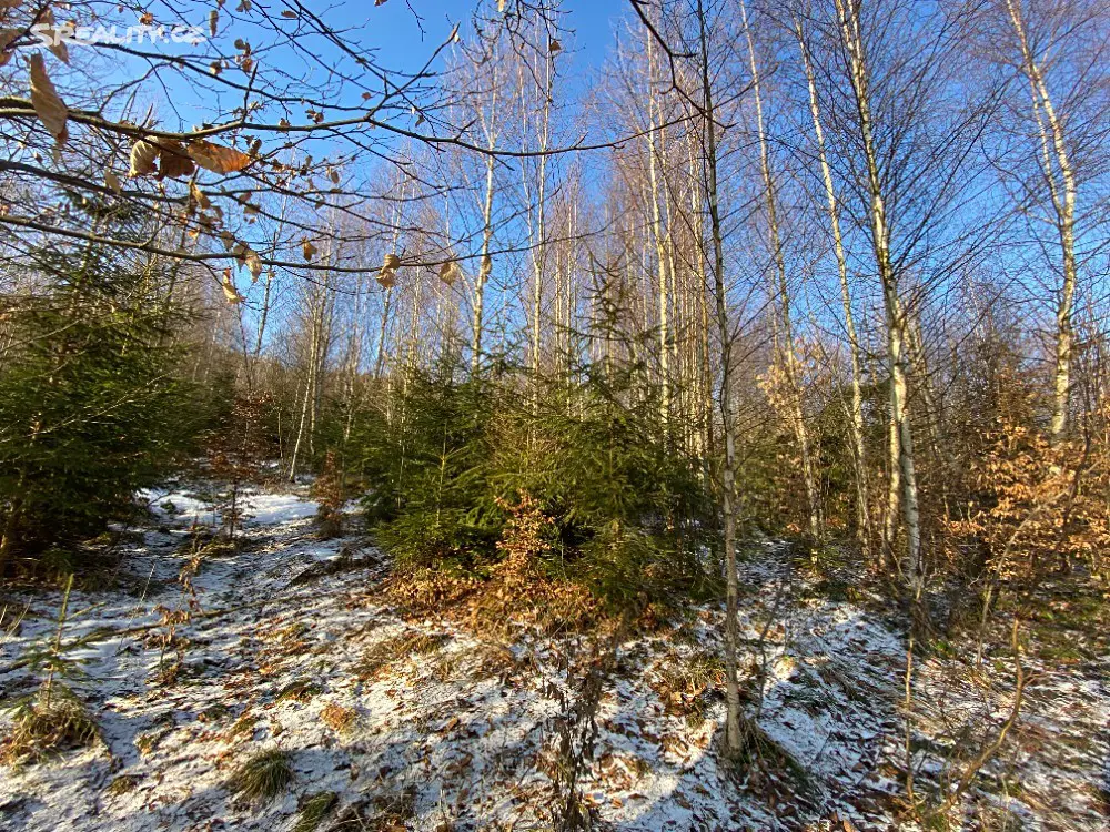 Prodej  lesa 15 380 m², Horní Studénky, okres Šumperk