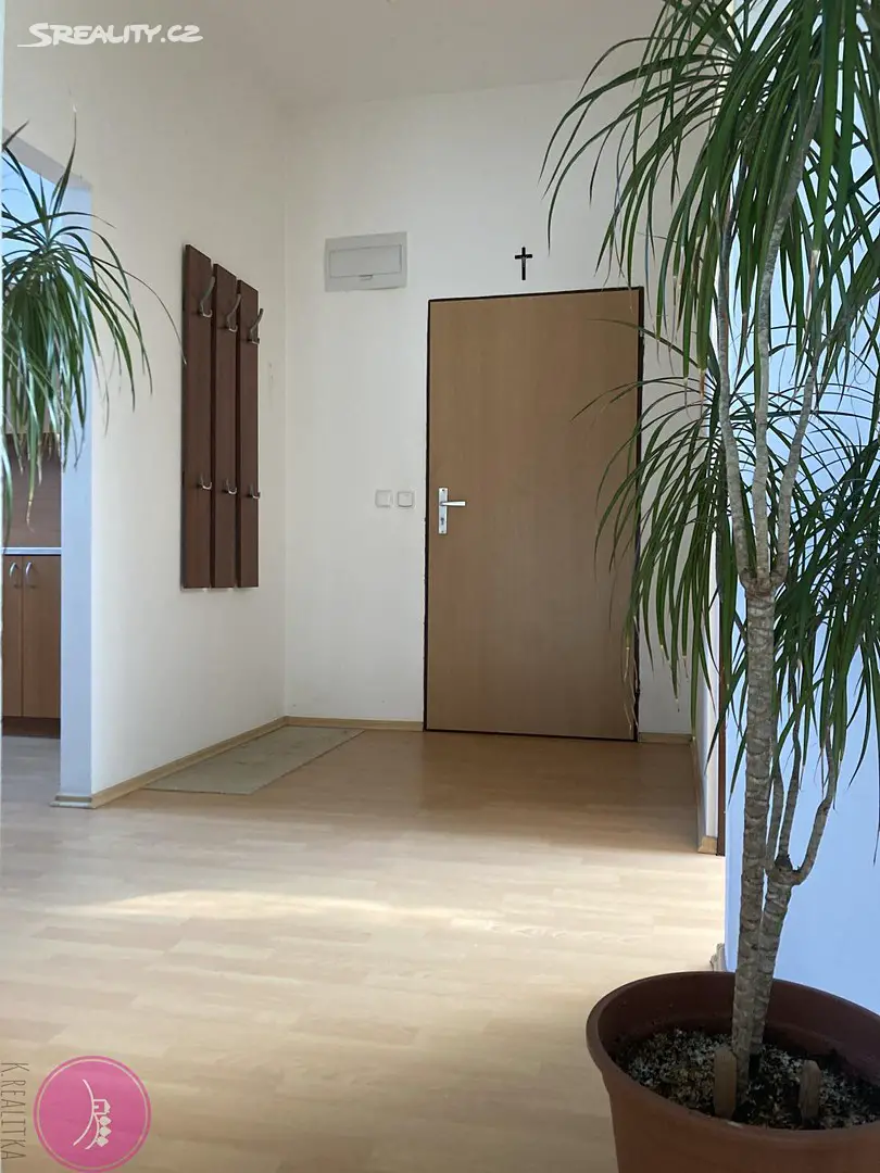 Pronájem bytu 2+1 70 m² (Mezonet), Dolní, Štěpánov