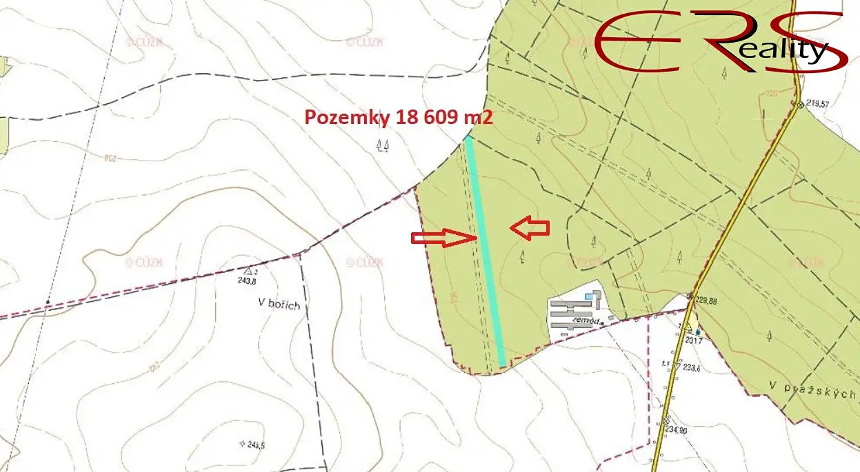 Prodej  lesa 18 609 m², Městec Králové, okres Nymburk