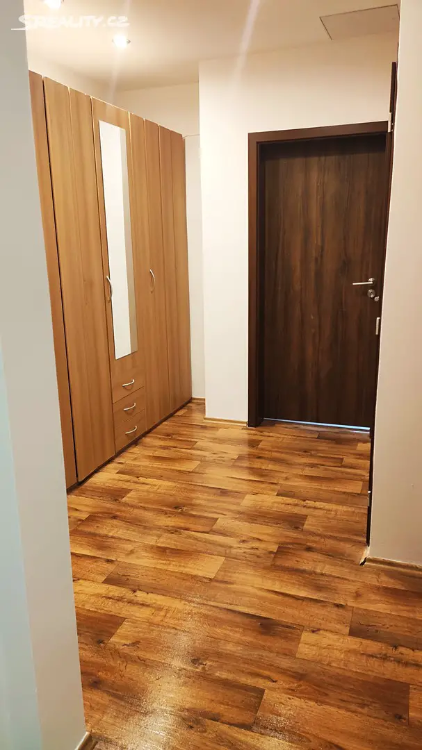 Pronájem bytu 2+1 47 m², Radlická, Praha 5 - Smíchov