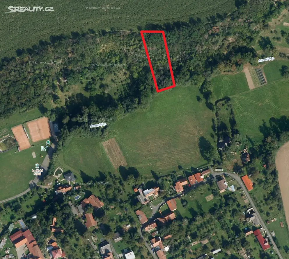 Prodej  lesa 1 028 m², Luže - Bělá, okres Chrudim