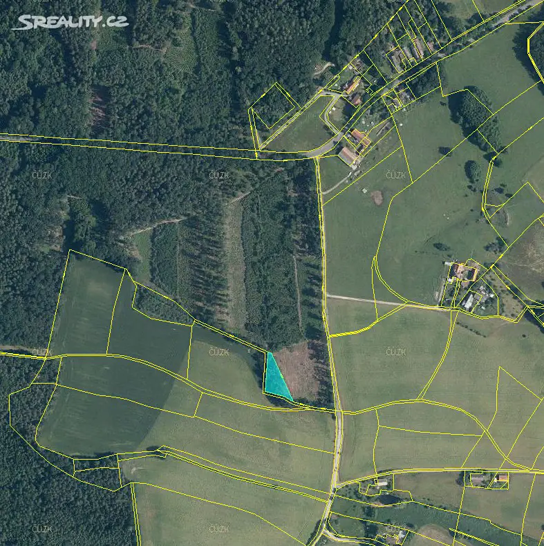 Prodej  lesa 801 m², Nová Ves, okres Rychnov nad Kněžnou