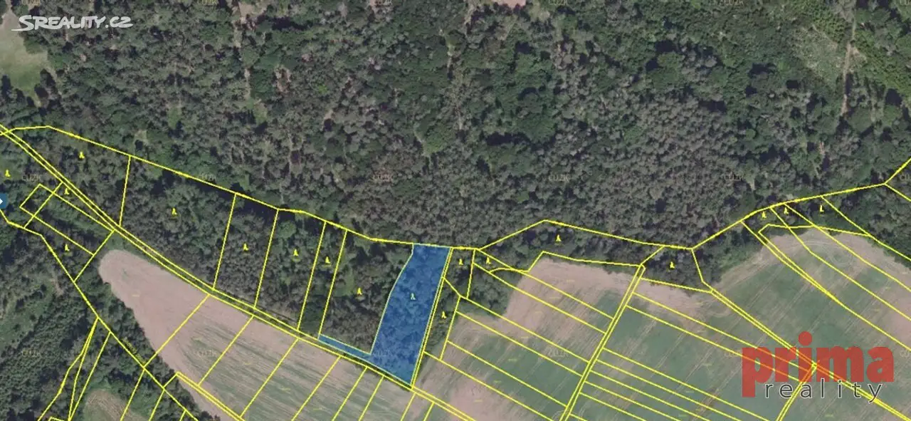 Prodej  lesa 3 615 m², Kounov, okres Rakovník