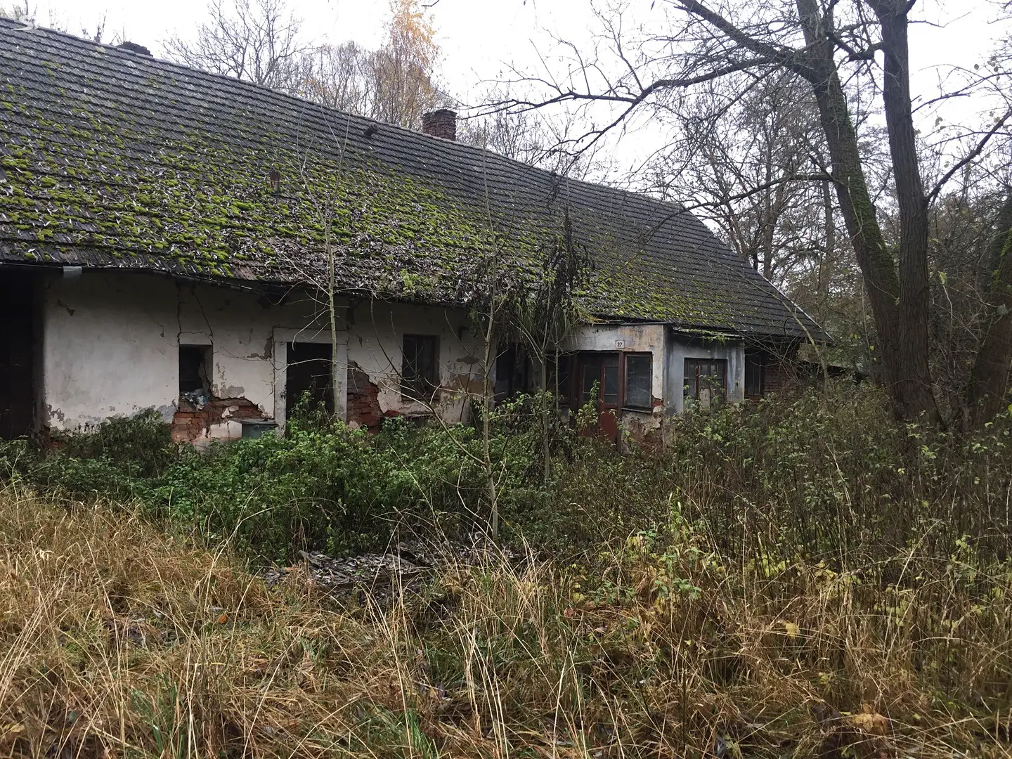 Prodej  rodinného domu 312 m², pozemek 5 669 m², Horní Olešnice, okres Trutnov