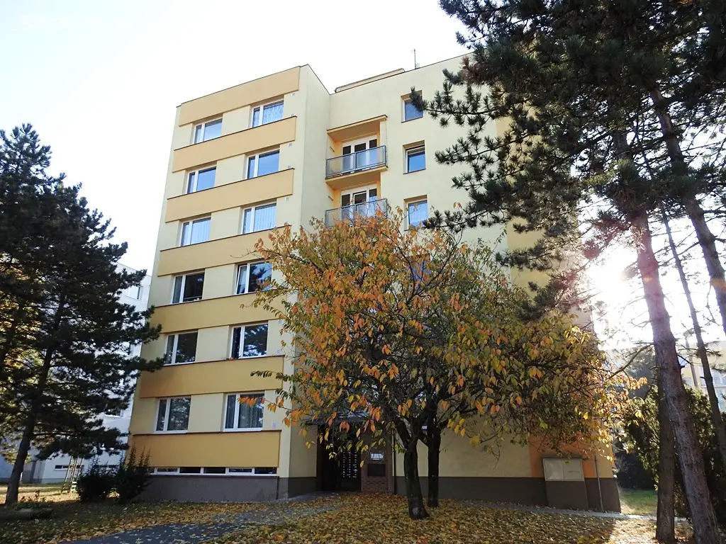 Prodej bytu 1+1 52 m², Vysocká, Hradec Králové - Moravské Předměstí
