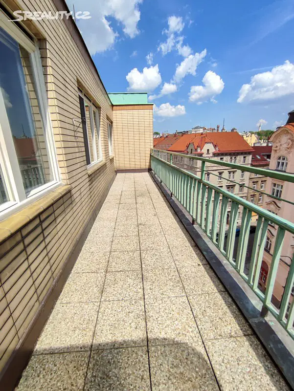 Pronájem bytu 1+1 61 m², Plavecká, Praha 2 - Nové Město
