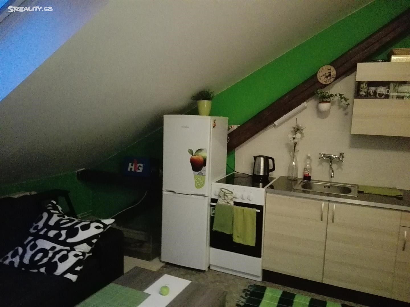 Pronájem bytu 1+kk 27 m² (Podkrovní), Dřevařská, Brno - Veveří