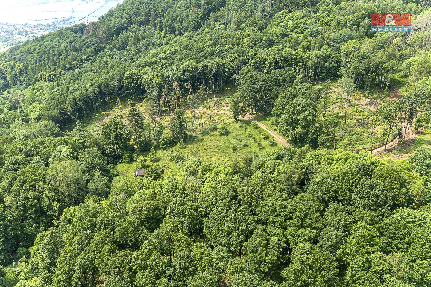Prodej  lesa 3 677 m², Žitenice, okres Litoměřice