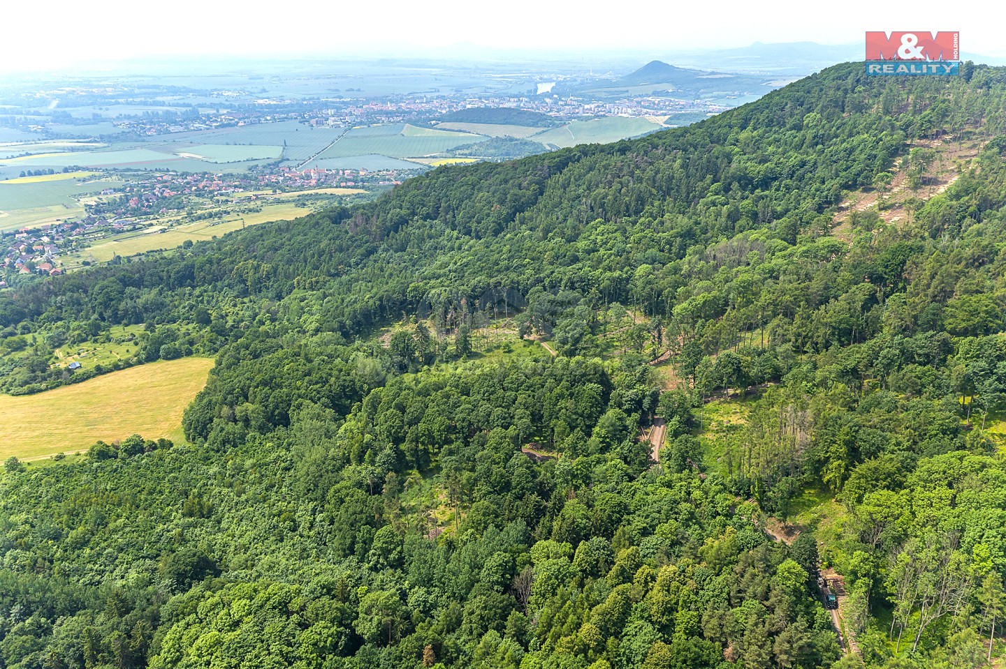 Prodej  lesa 3 677 m², Žitenice, okres Litoměřice