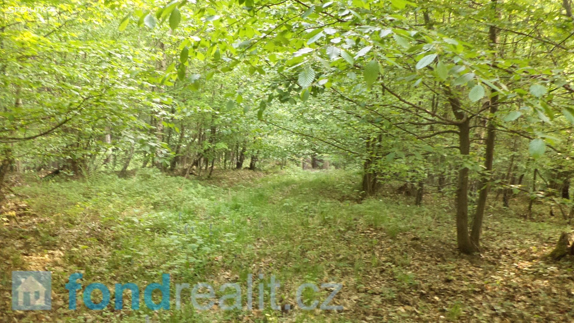 Prodej  pozemku 9 573 m², Leskovec, okres Vsetín