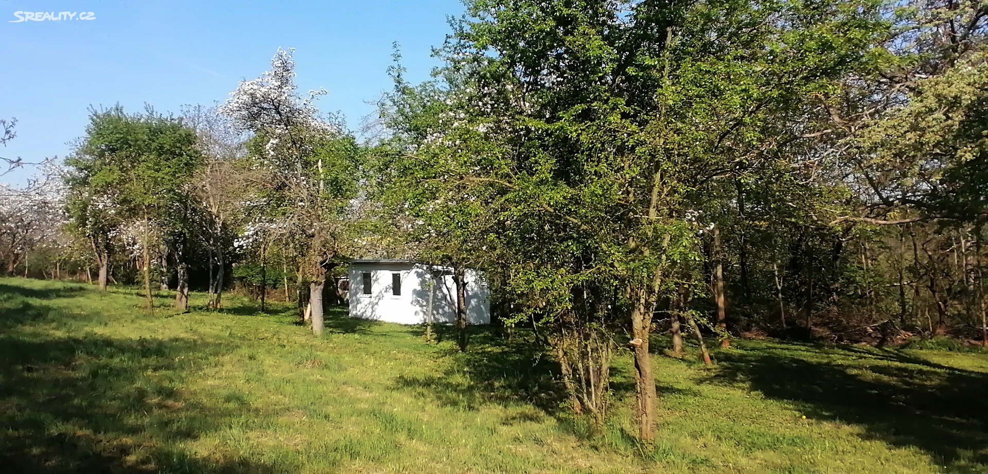 Prodej  zahrady 3 770 m², Třebichovice - Saky, okres Kladno