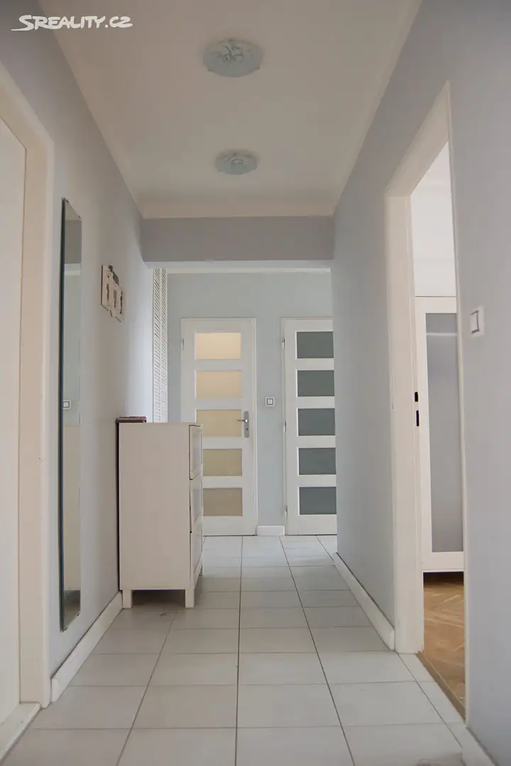 Pronájem bytu 2+1 60 m², Francouzská třída, Plzeň - Východní Předměstí