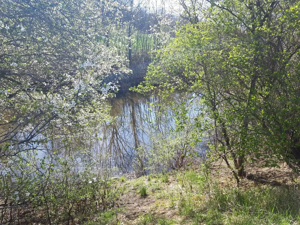 Dušníky, okres Litoměřice