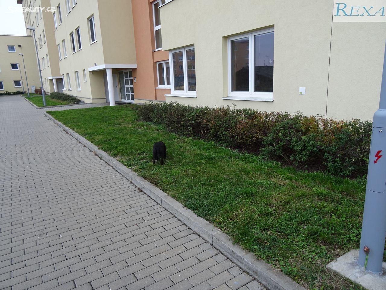 Pronájem bytu 3+kk 999 m², Dusíkova, Brno - Lesná