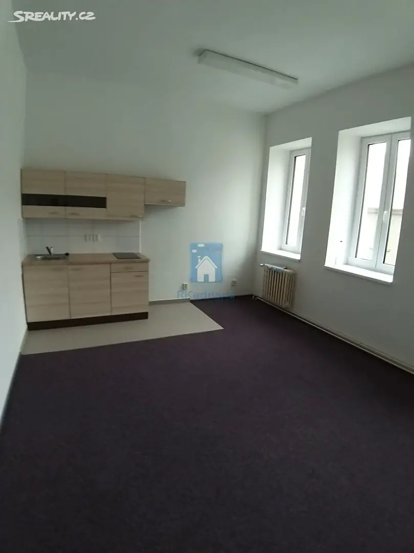 Pronájem bytu 1+kk 32 m², Černická, Plzeň - Jižní Předměstí